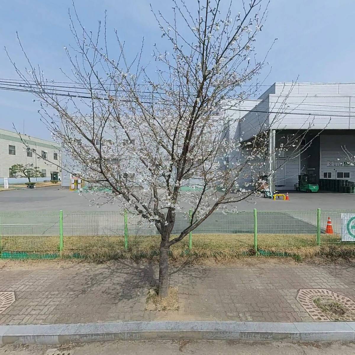 한국신에츠실리콘（주）대소