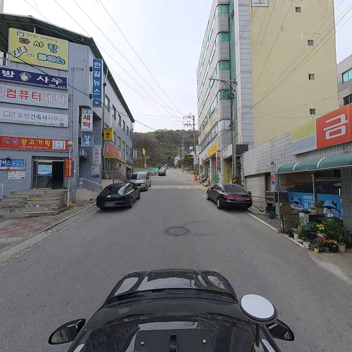 금류쇼핑_4