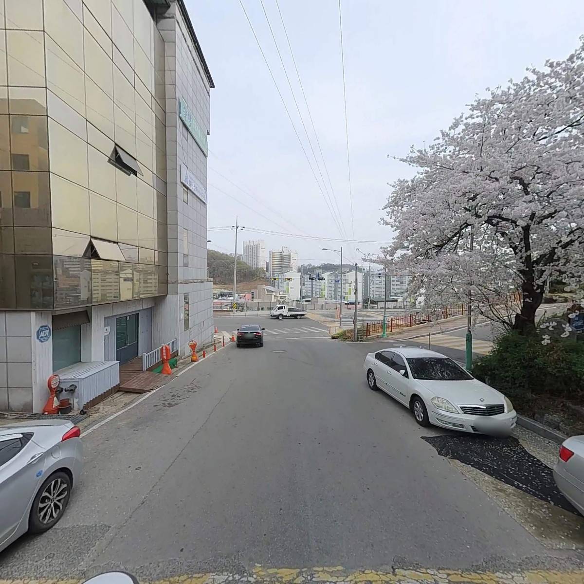 금류쇼핑_2