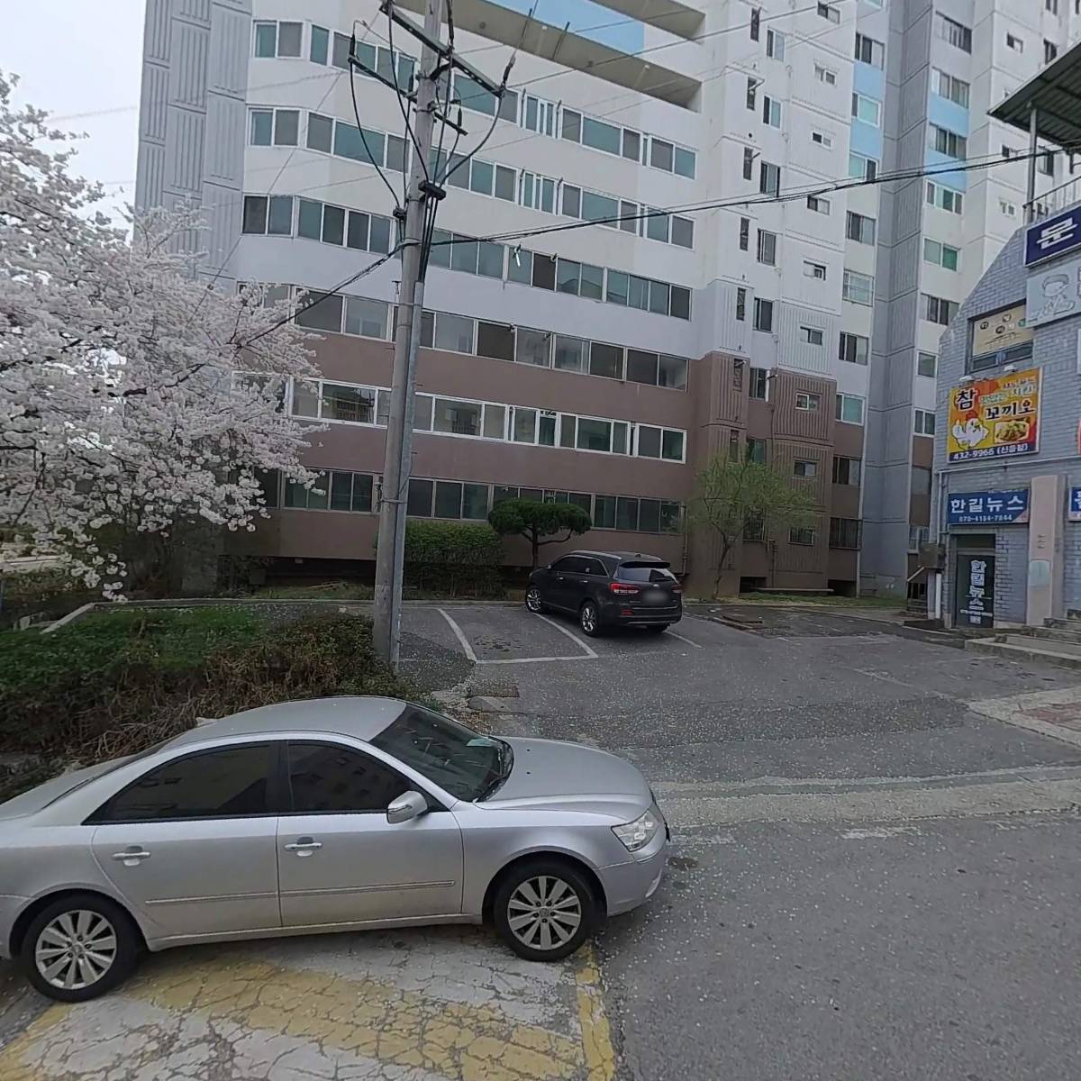 금류쇼핑_3
