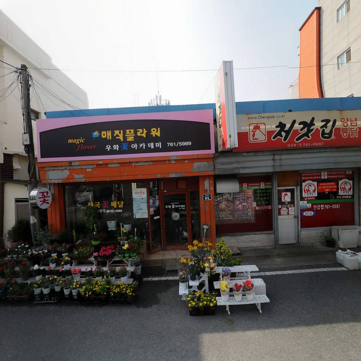 명랑핫도그_3