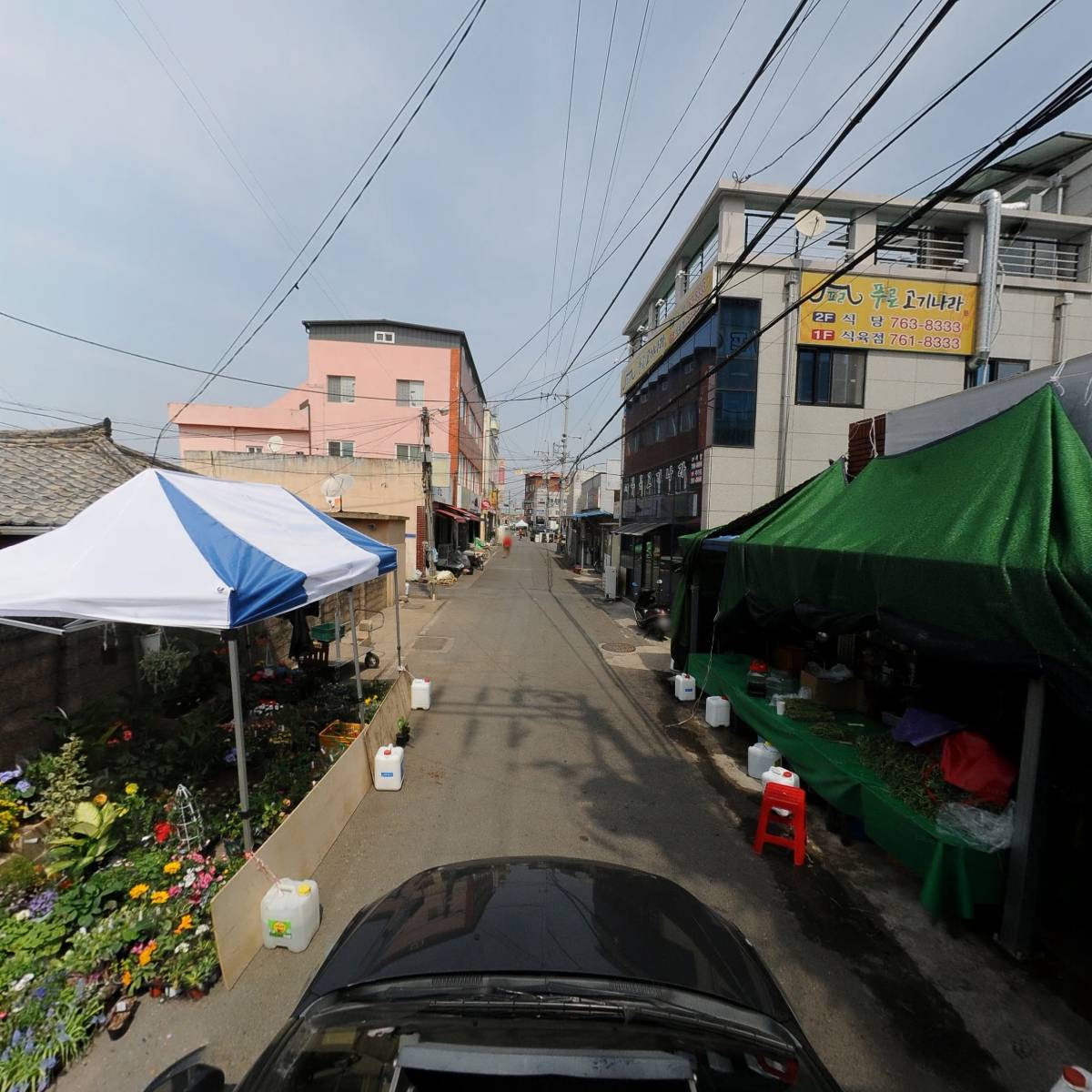 전풍농약사_4