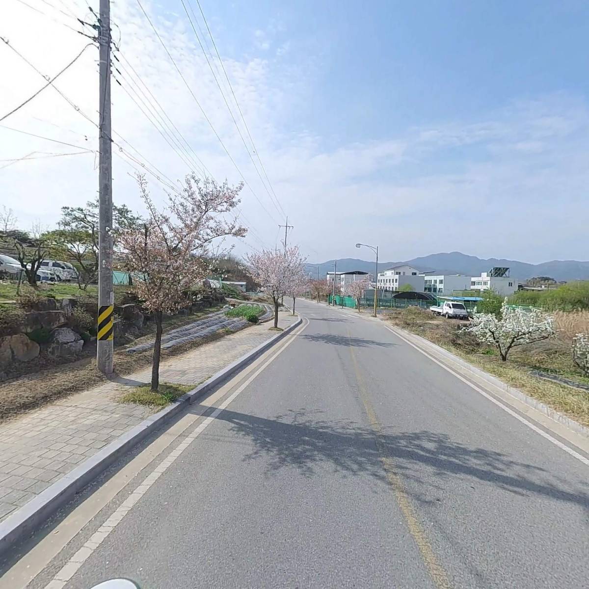 대일식품_2