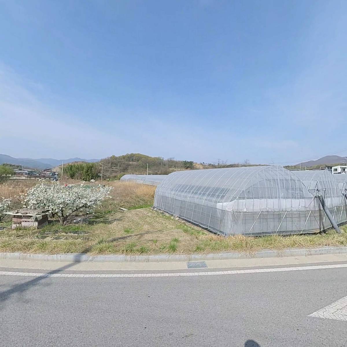 대일식품_3