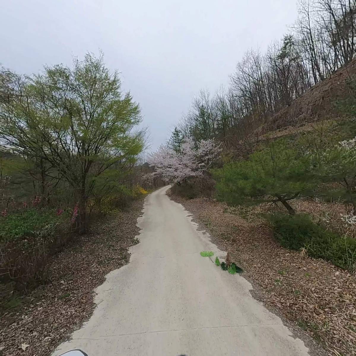 곤충파충류영농조합법인_2