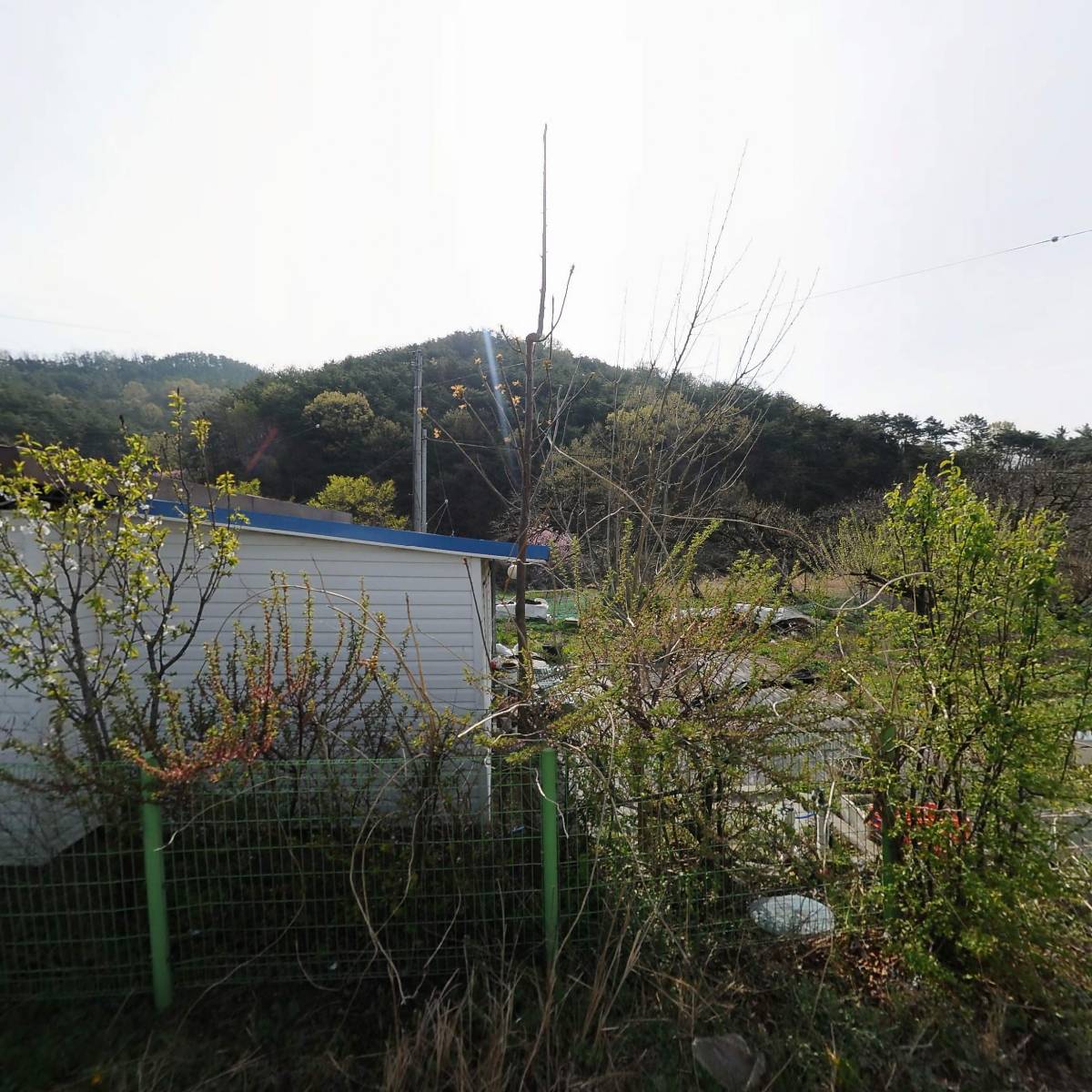 서청도농협하나로마트양원점