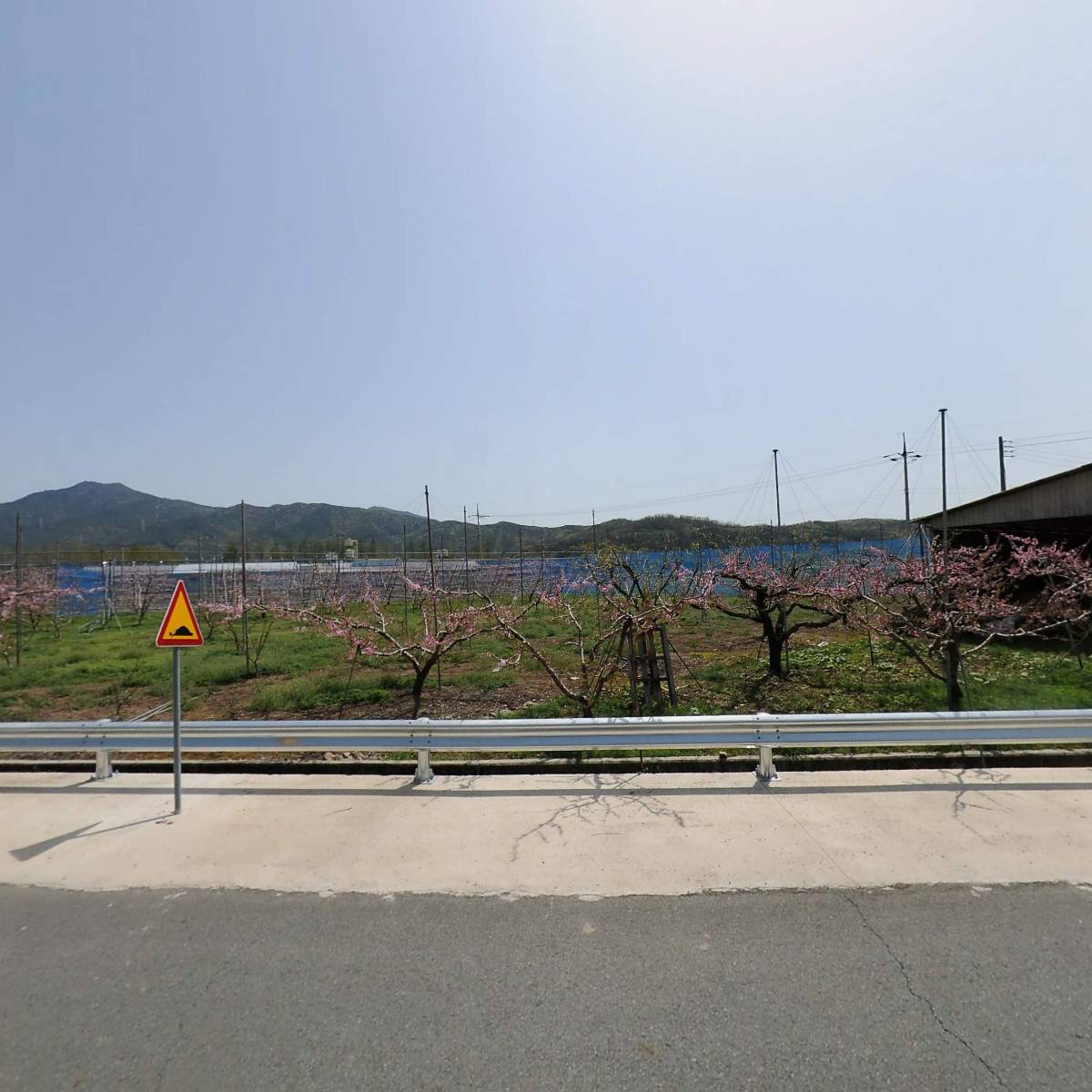 구라기성반씨 추원문중_3