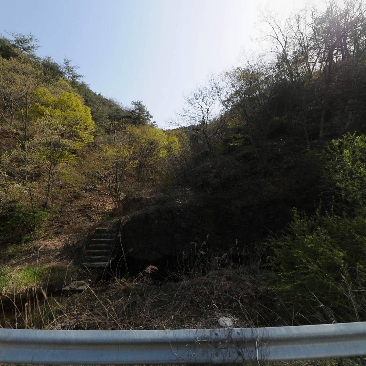 영화운수(도경희)
