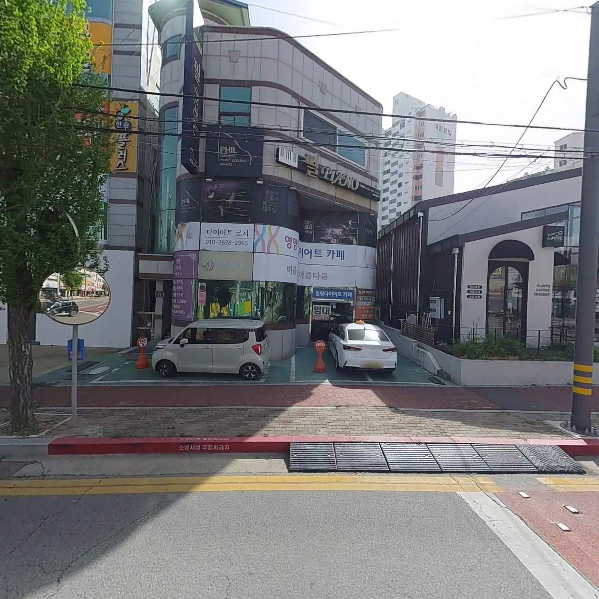 참치해적단