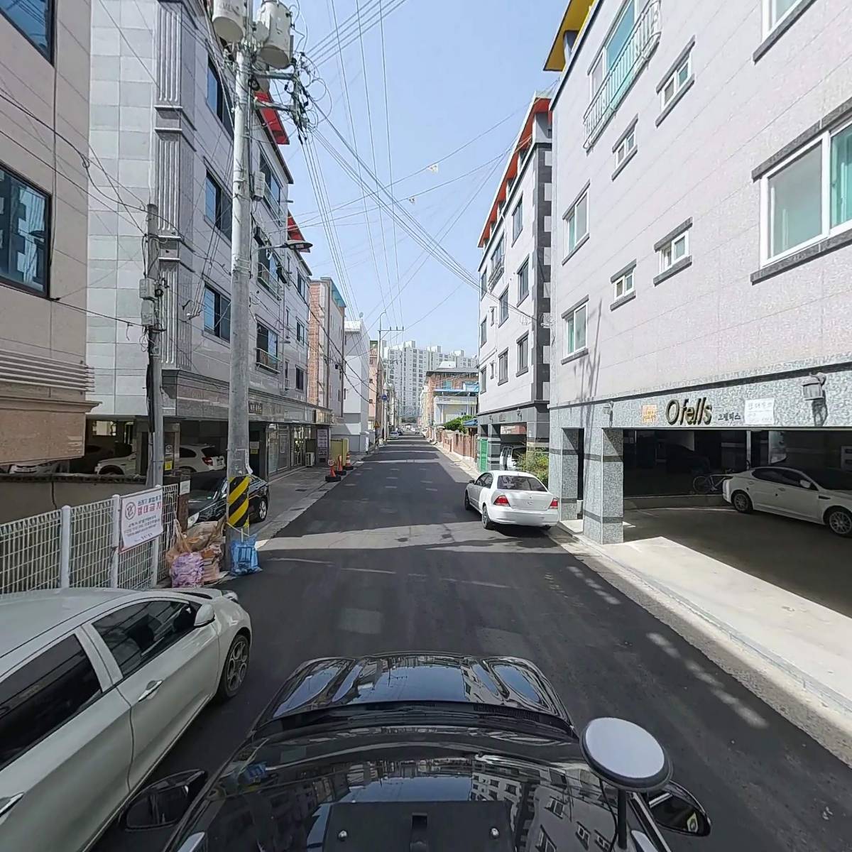 레드존_4
