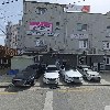 준마_3