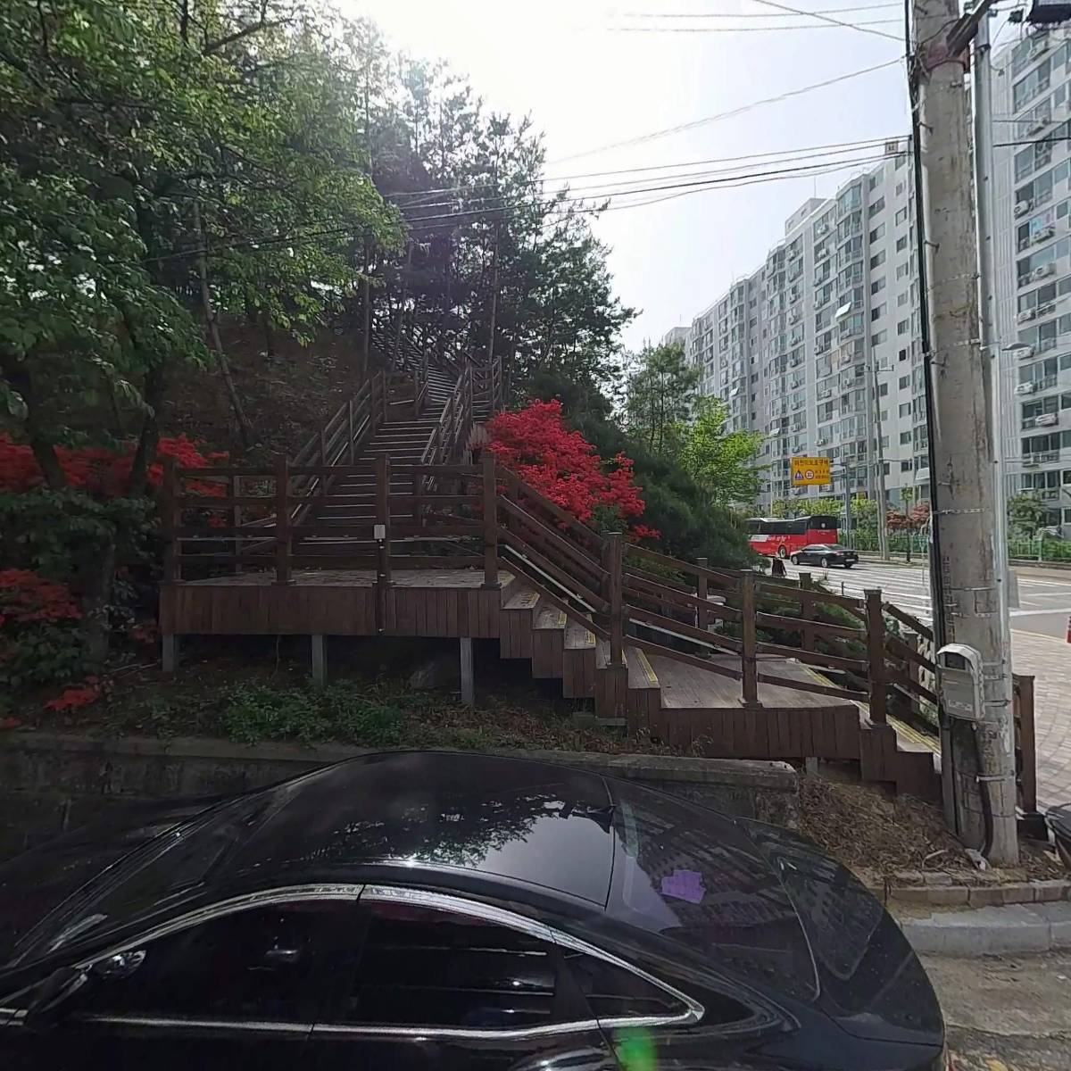 홍헤어라인