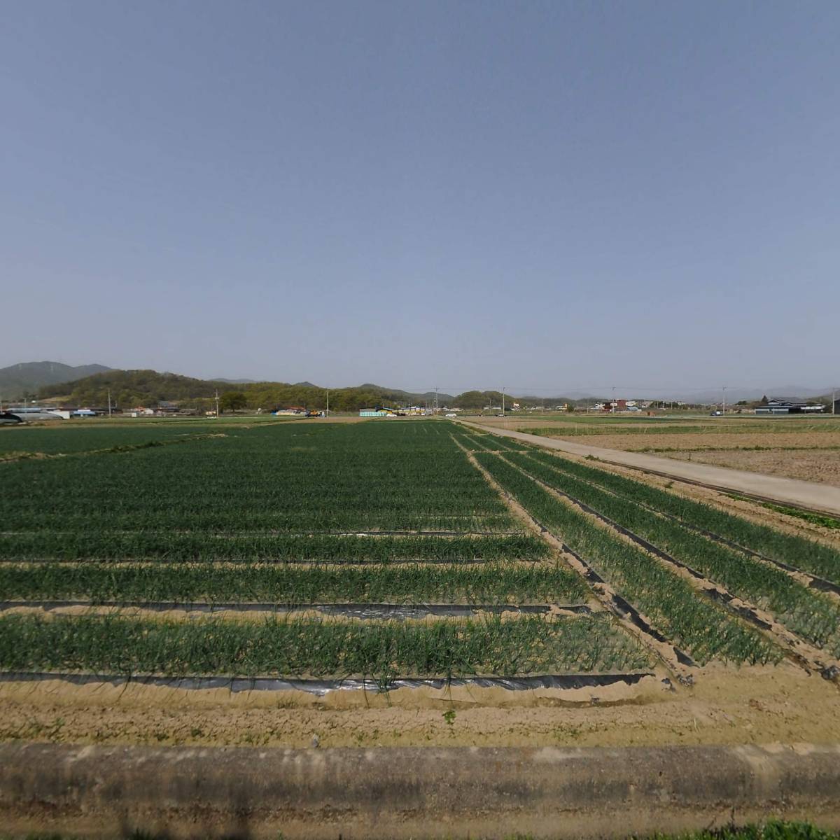 (주)튜링겐코리아_3