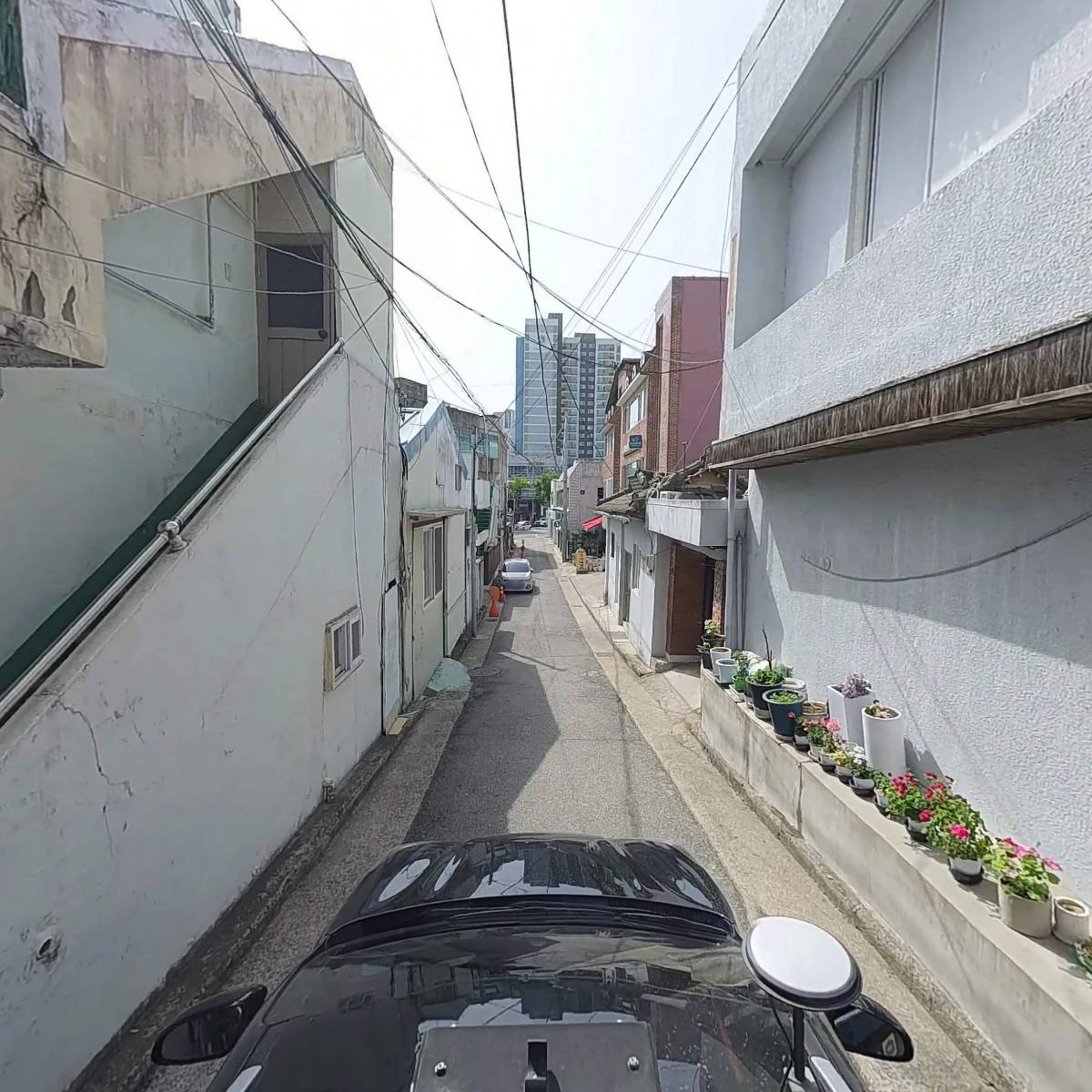 신평고을_4