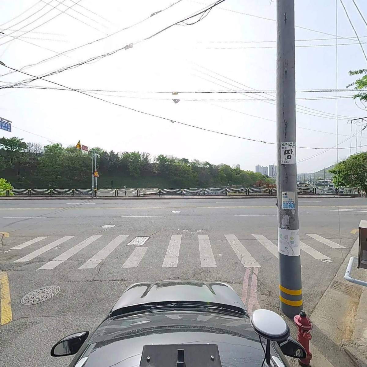 덴탈쇼핑_4