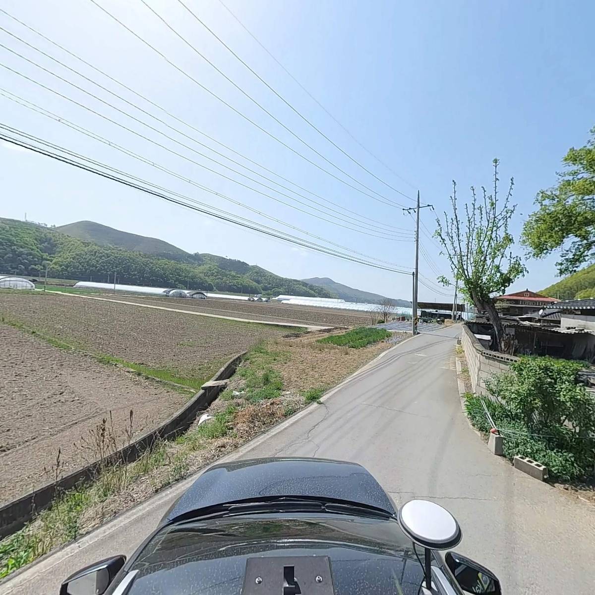 안동농산물직판장_4