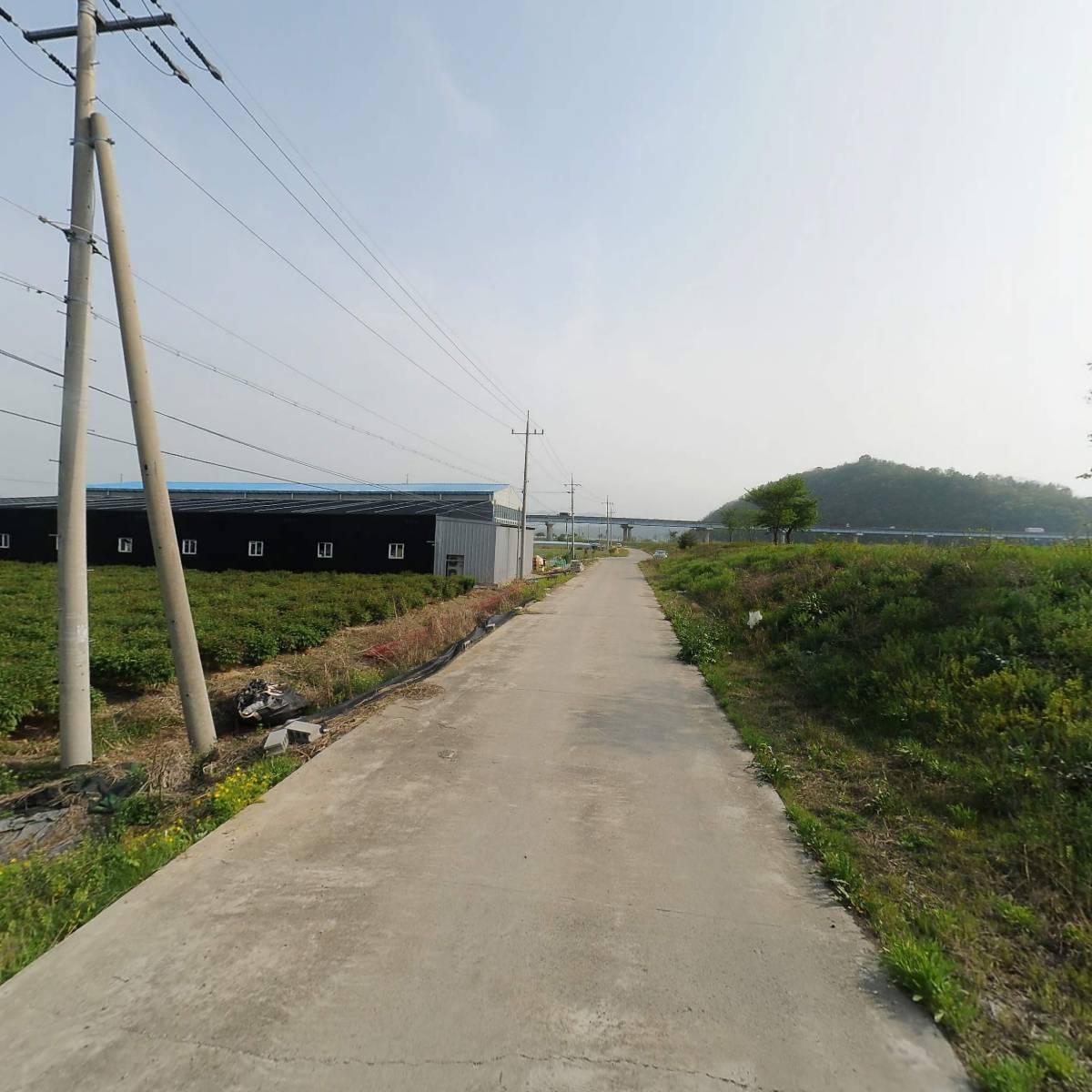 주식회사 글로벌금오렌트카 영천지점_2