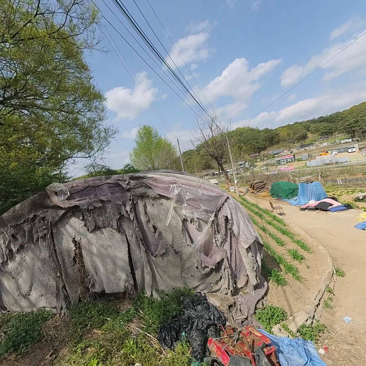 네오벤트