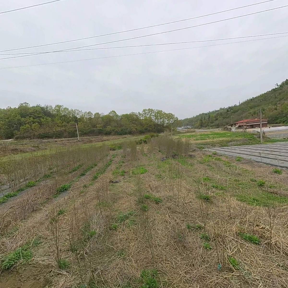 농업회사법인(주)장안