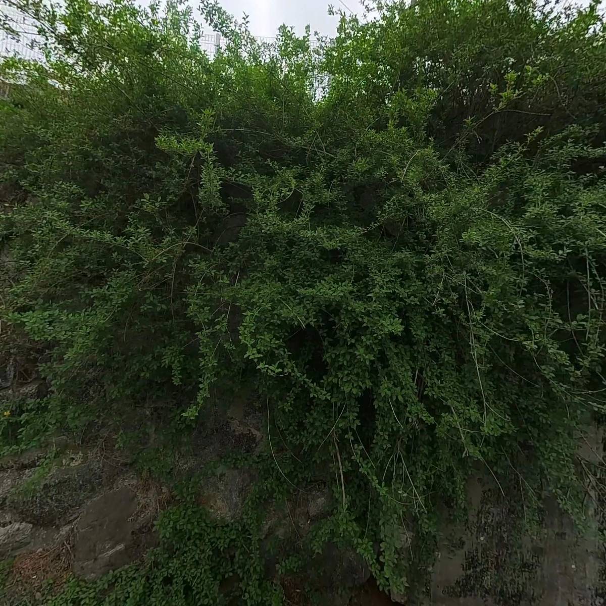 농업회사법인(주)장안_3