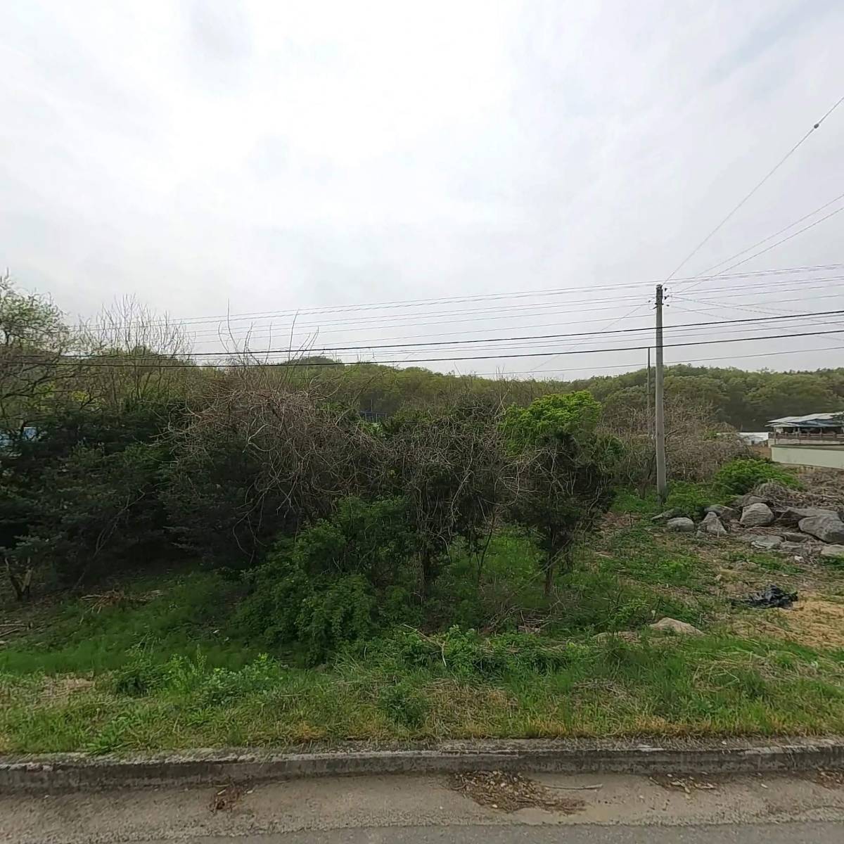 남선면 신석1리 납들마을 새마을회