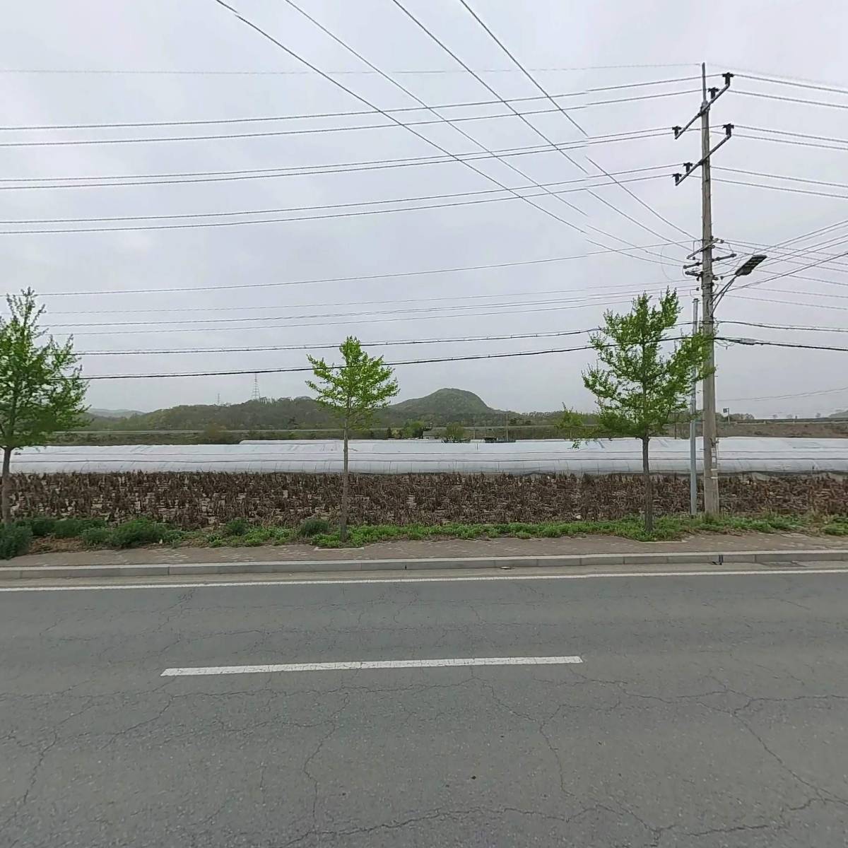 용상석물_3