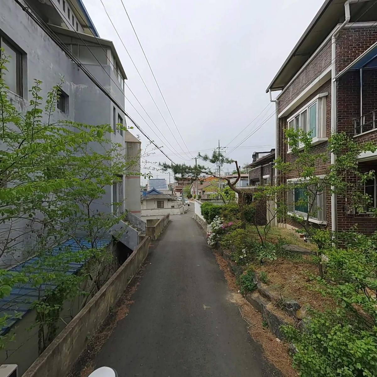 예안촌식품_2