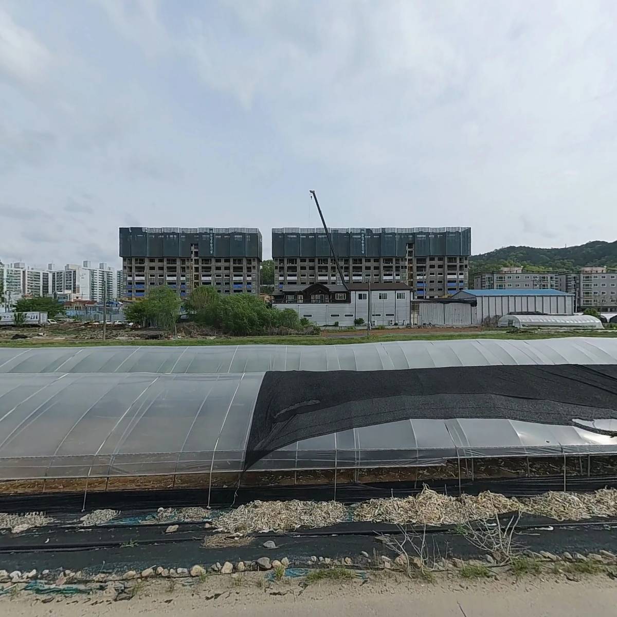 선산식품_3