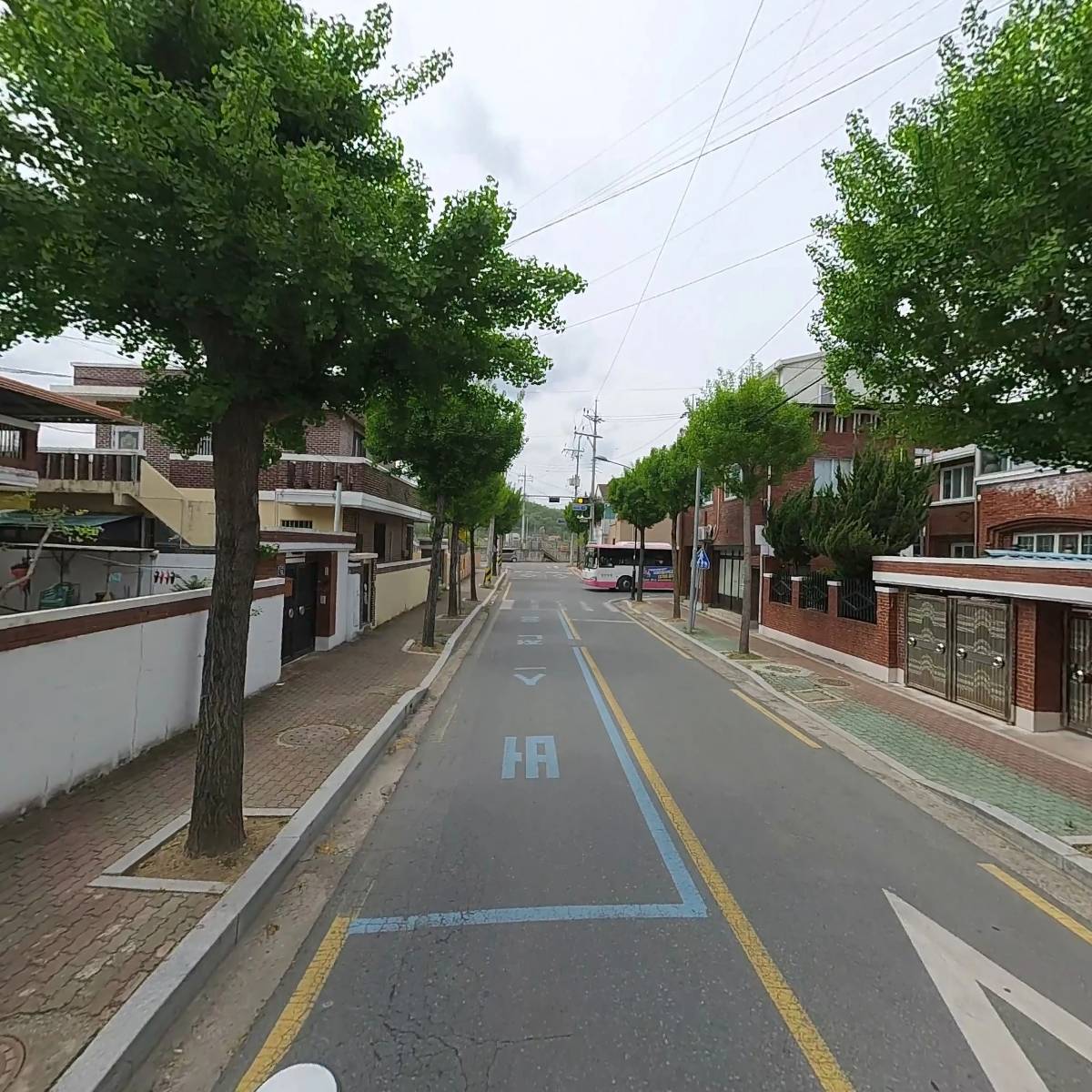 안동용상초등 12회동기회_2