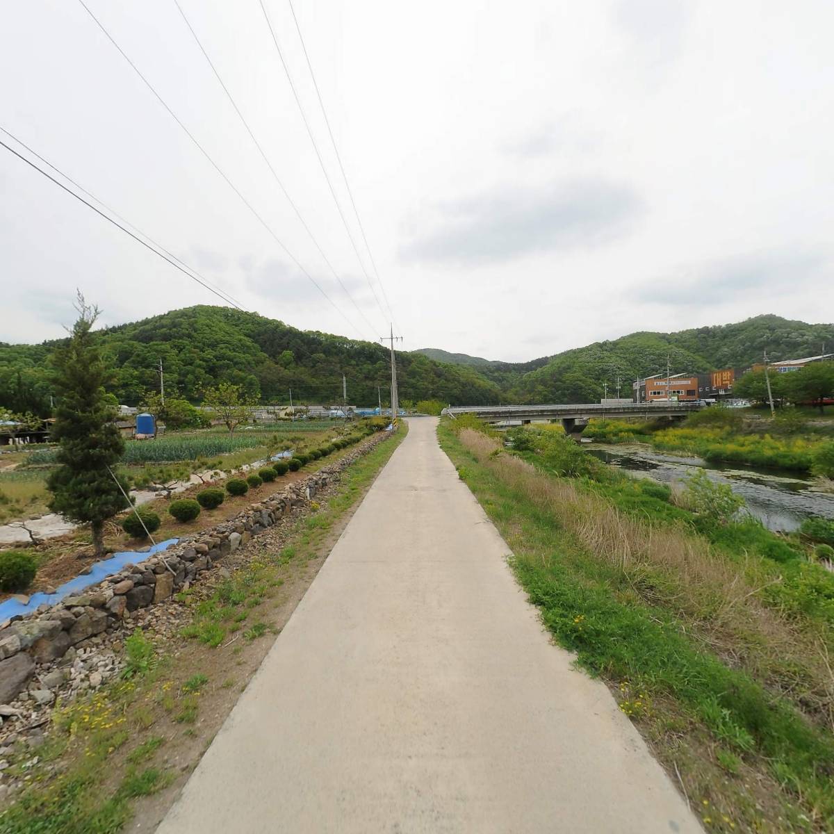 마야예림원_2