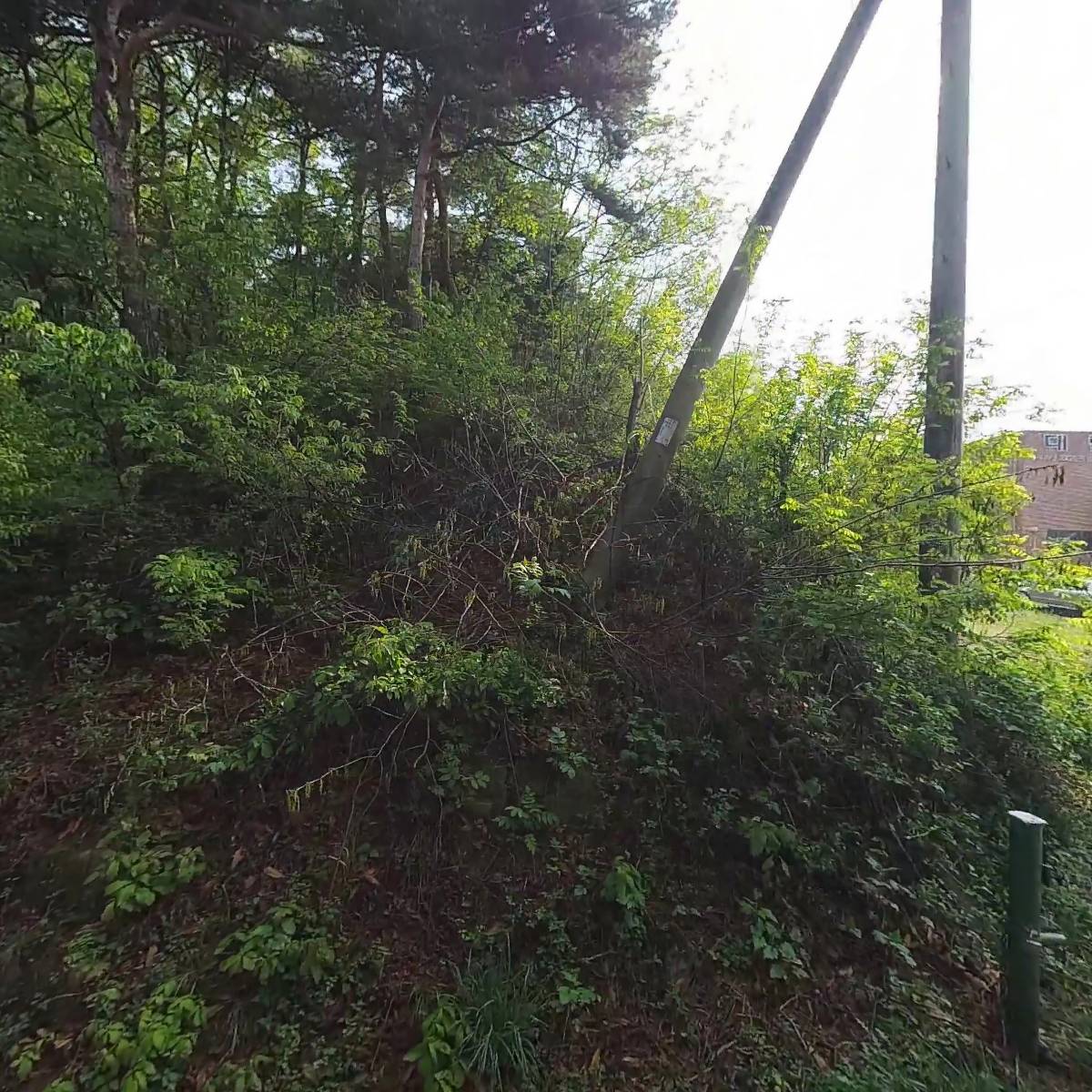 대림산업_3