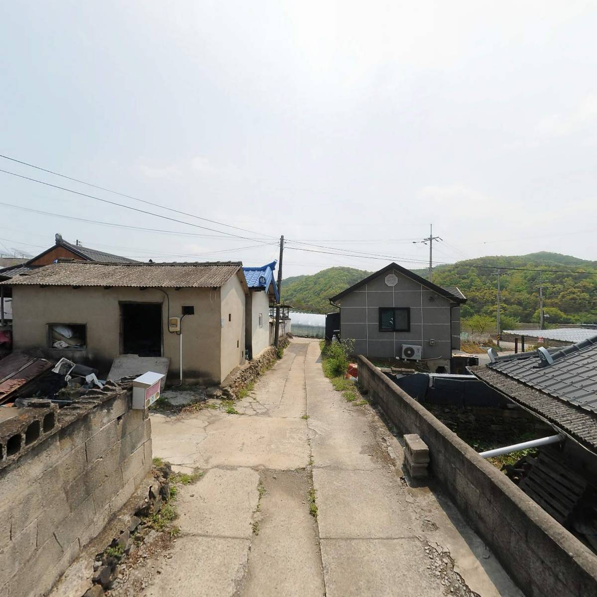 한국불교조동종(산하) 이상윤 고미술 감정 연구원_2