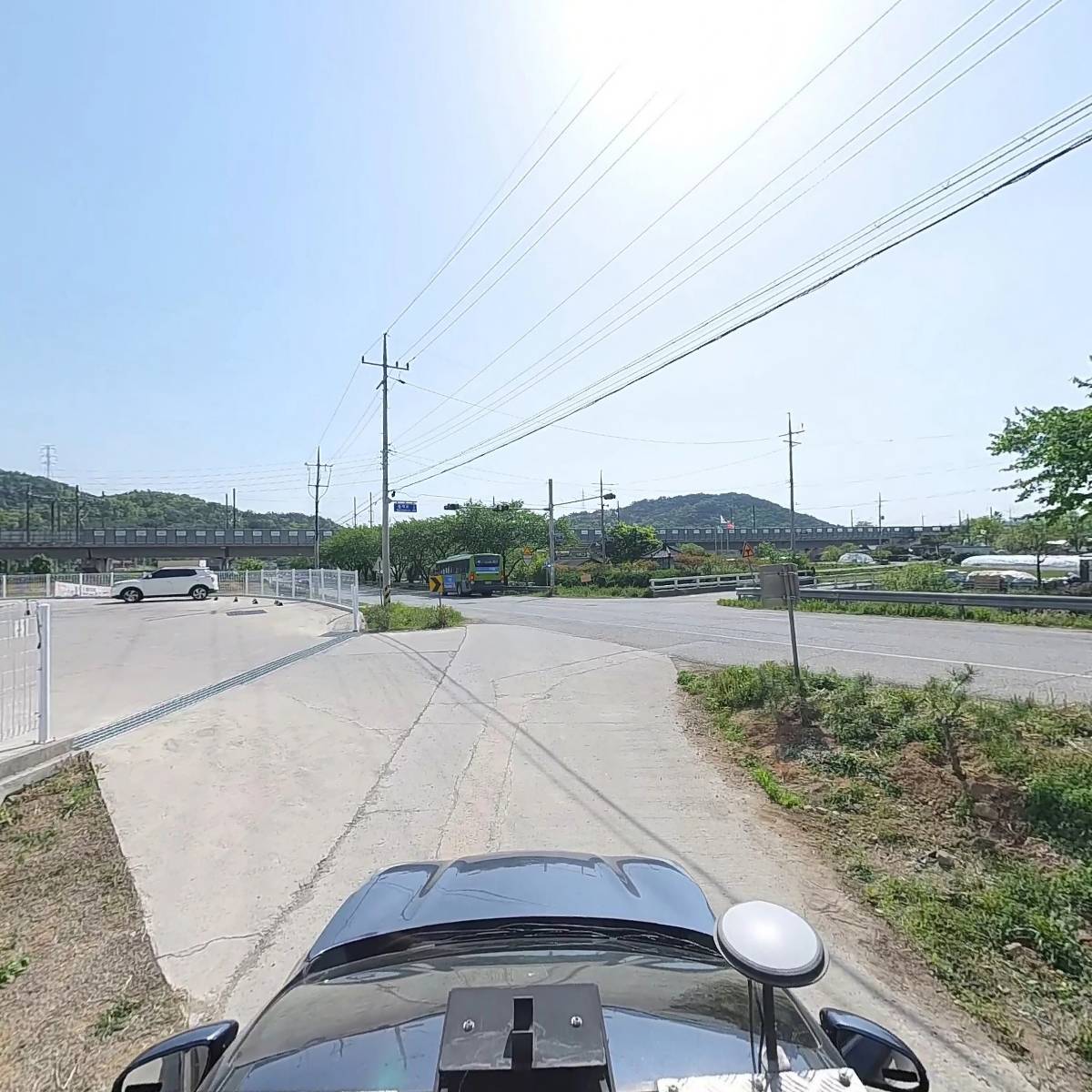 왈가왈부애견_4