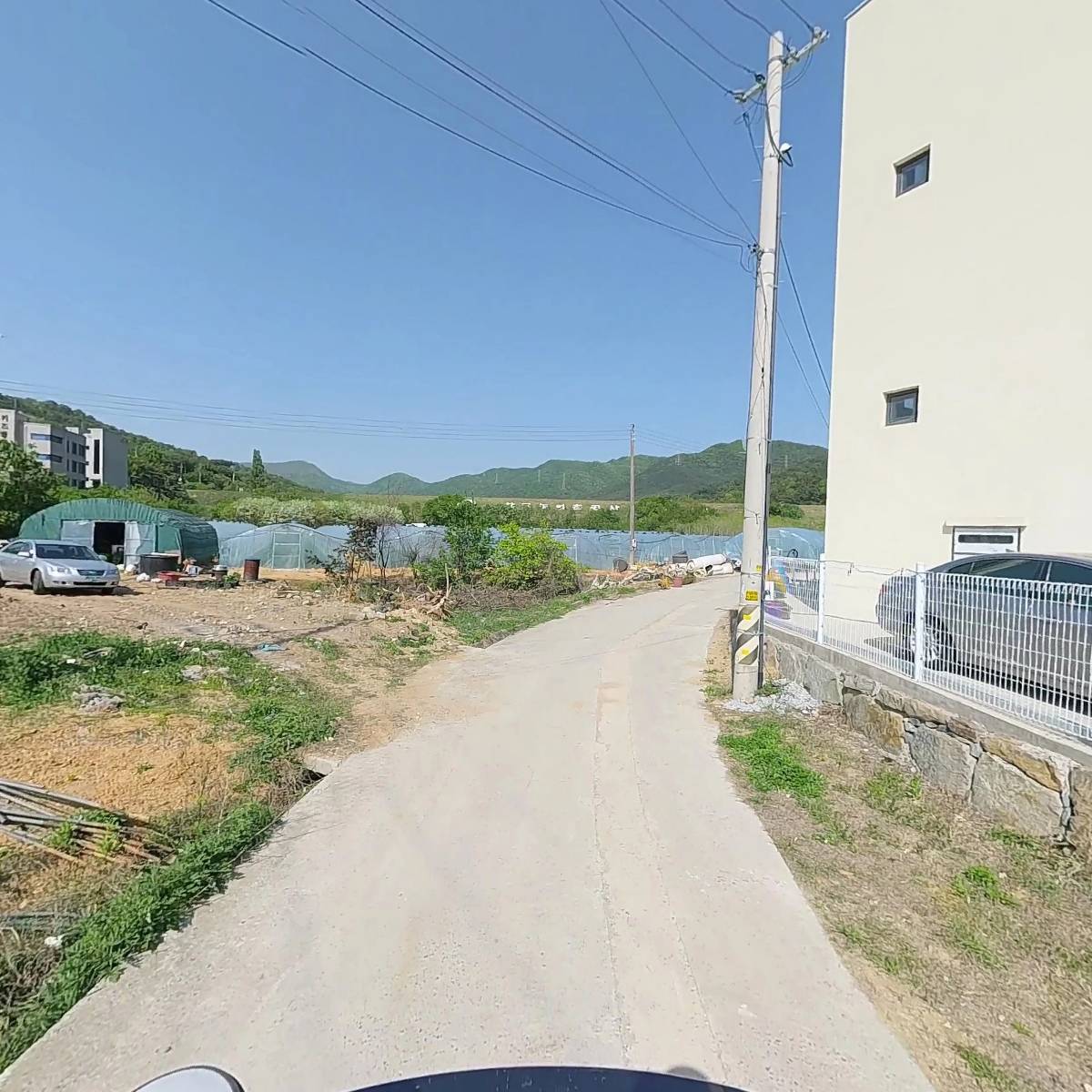 왈가왈부애견_2