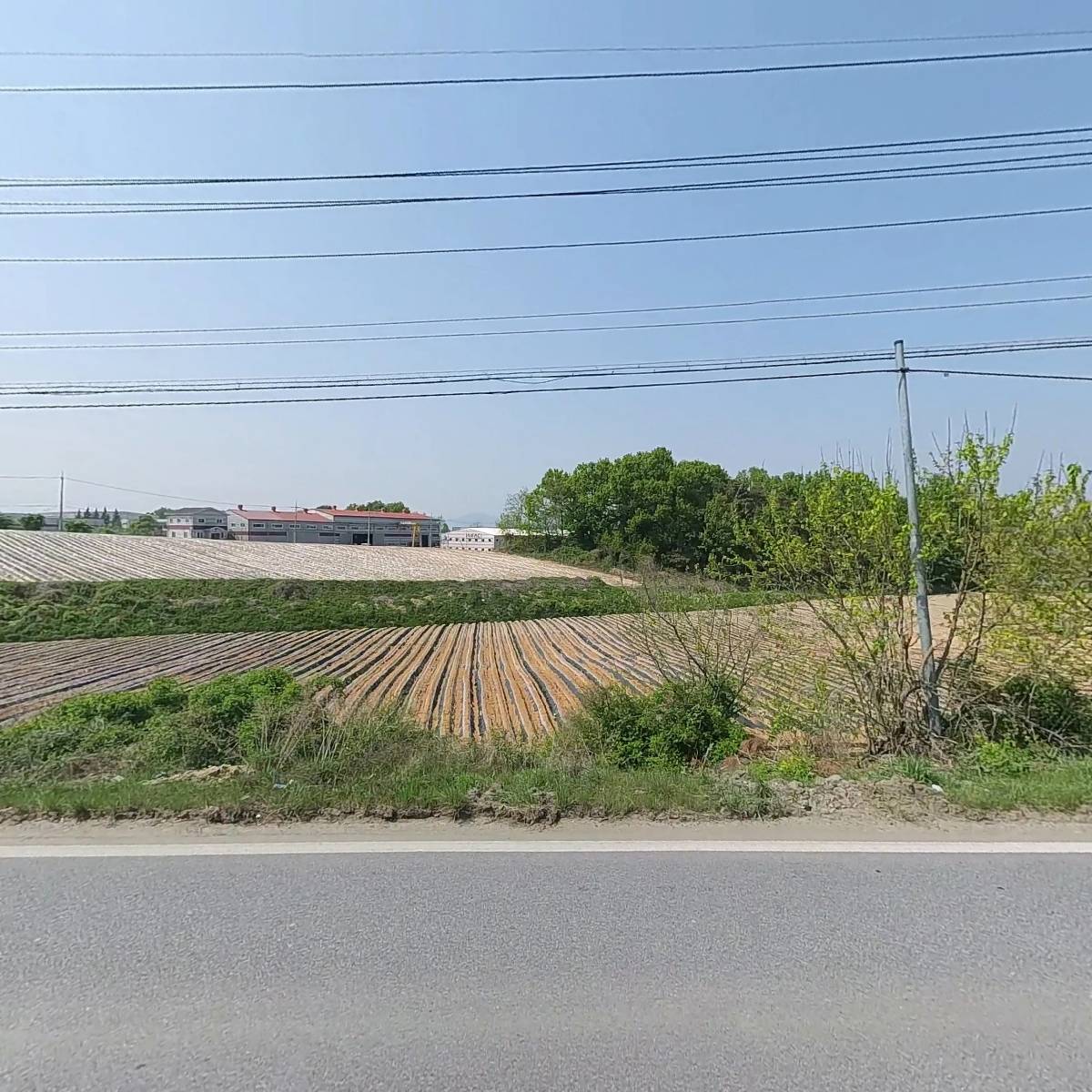 대신택배음성성본영업소_3