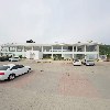 천군