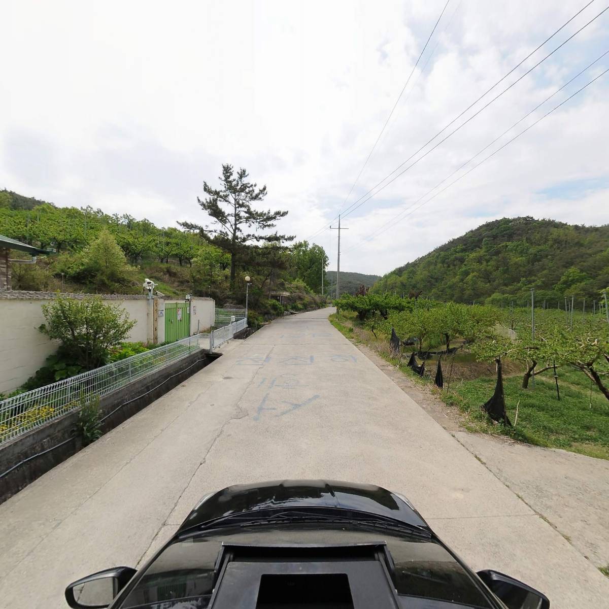 대한불교 칠성유화종 (칠성유화사)_4