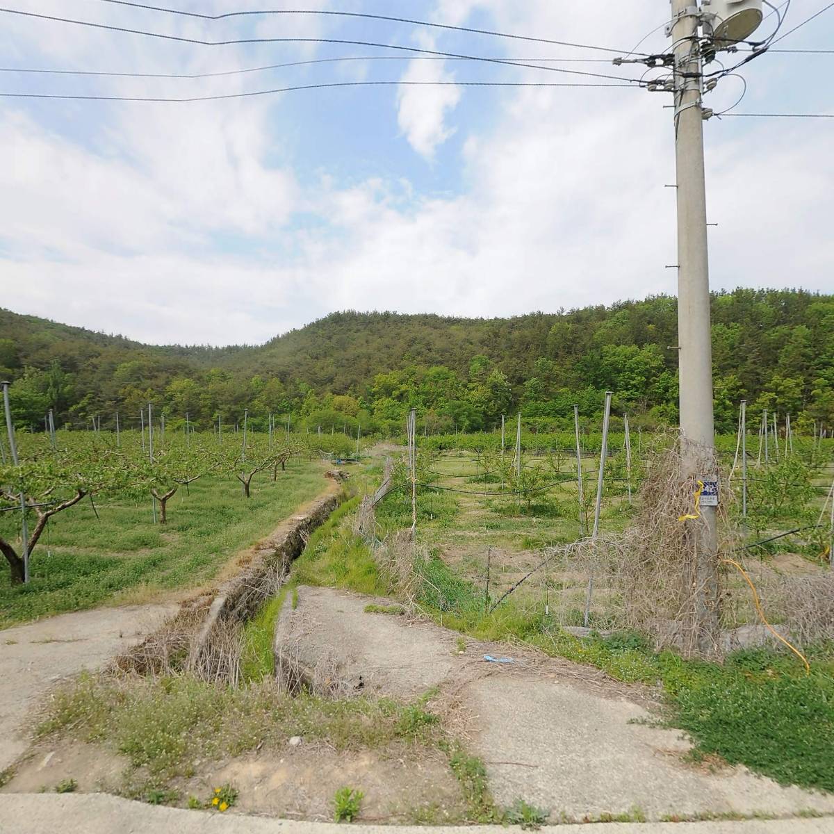 대한불교 칠성유화종 (칠성유화사)