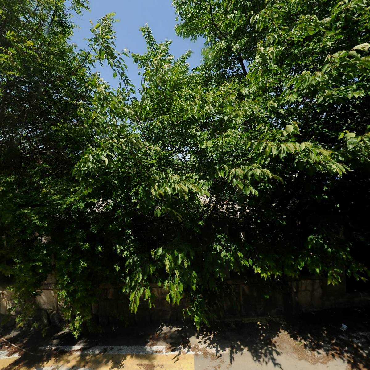 용태철망(주)_3