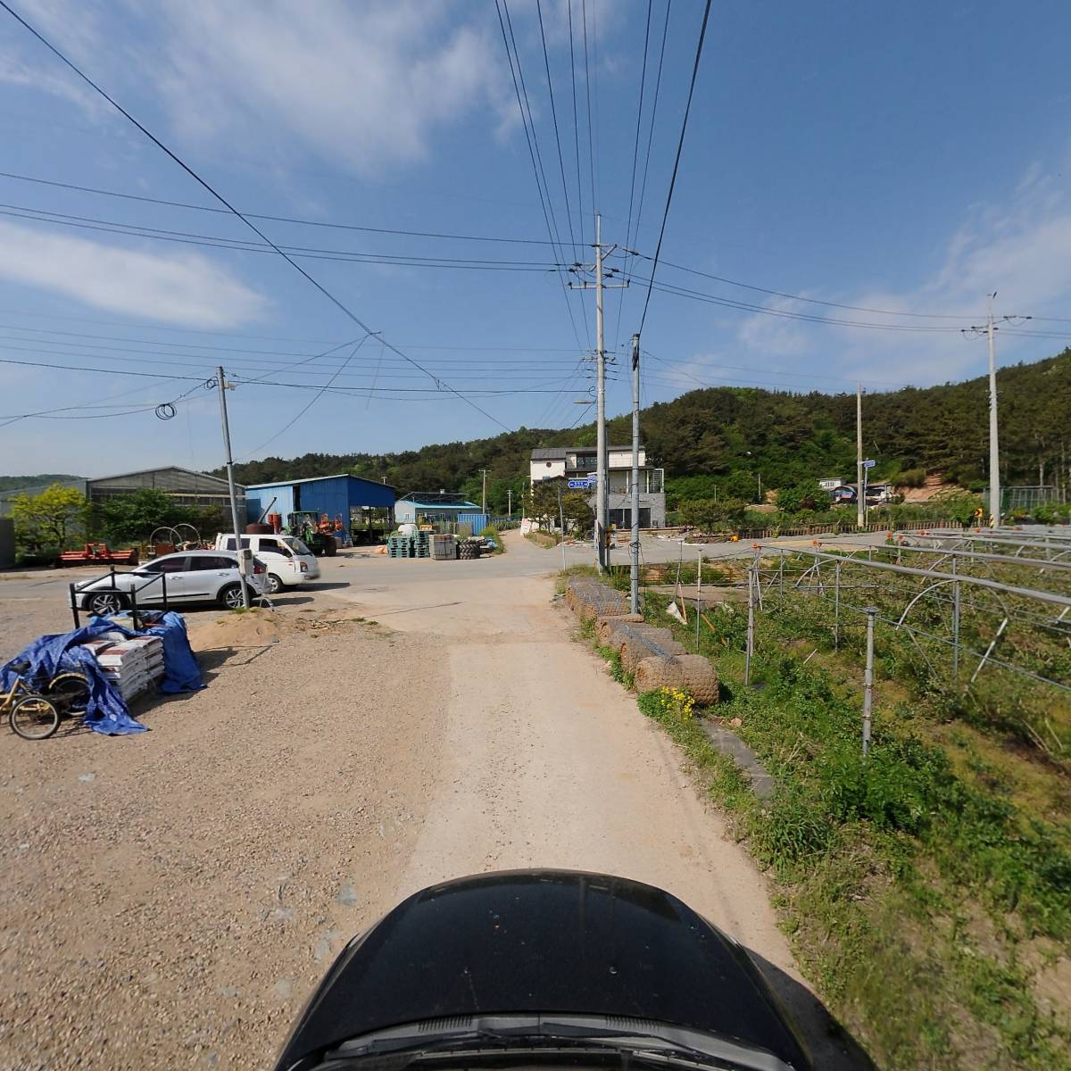 베리웰블루베리농원_4
