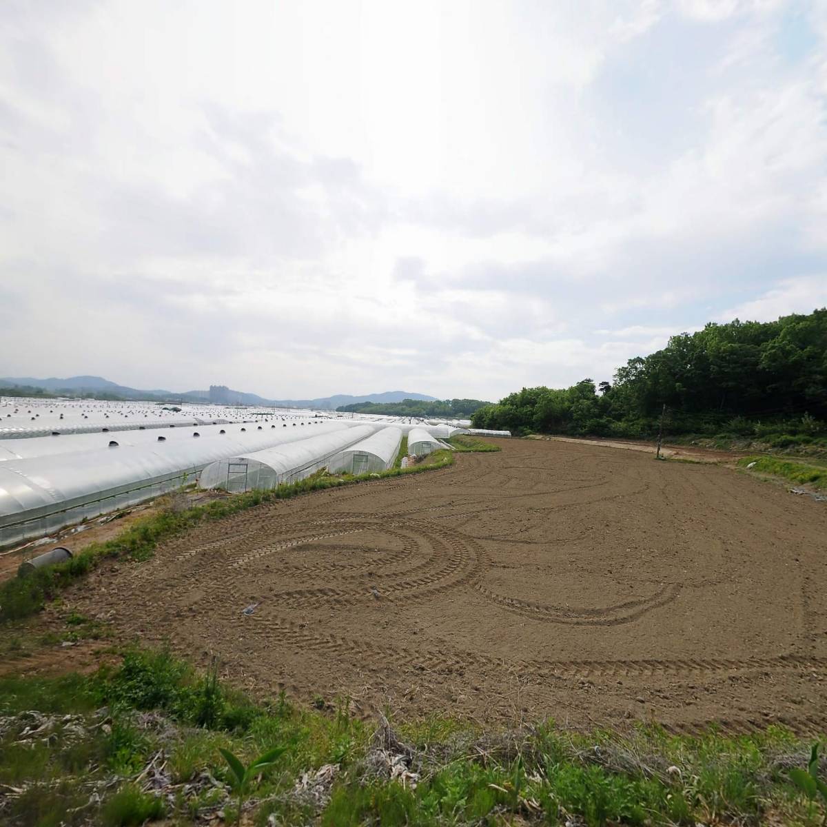 청림운수주식회사_3