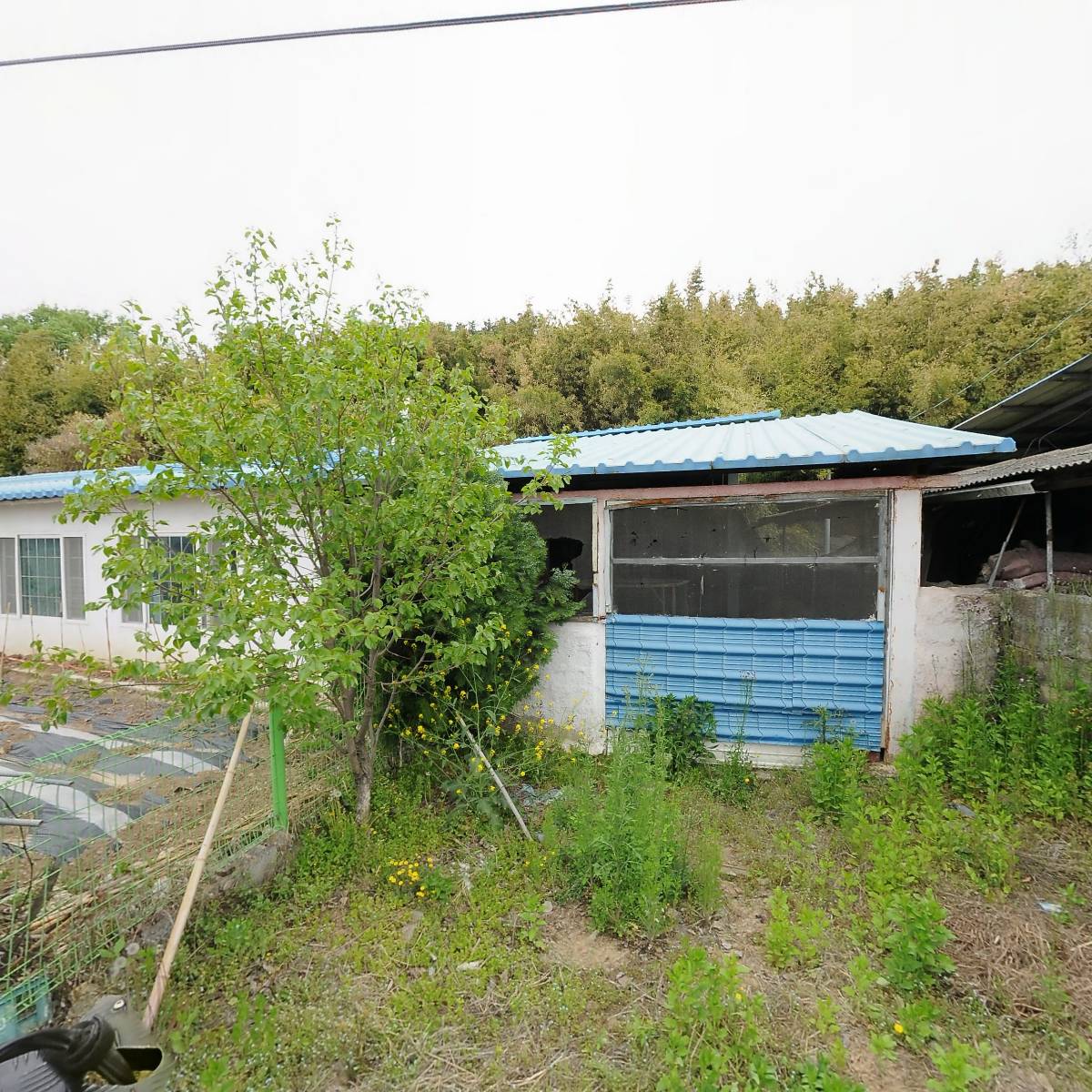 농업회사법인다산(주)