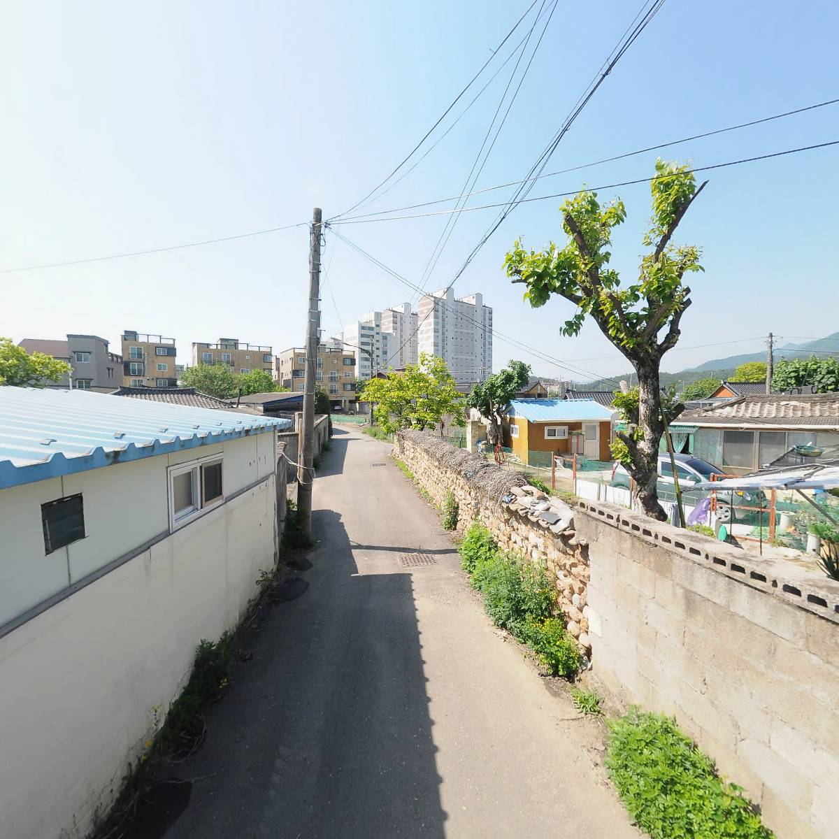 벤제프경주그린힐_2