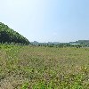 경북의성지사(오행생식)