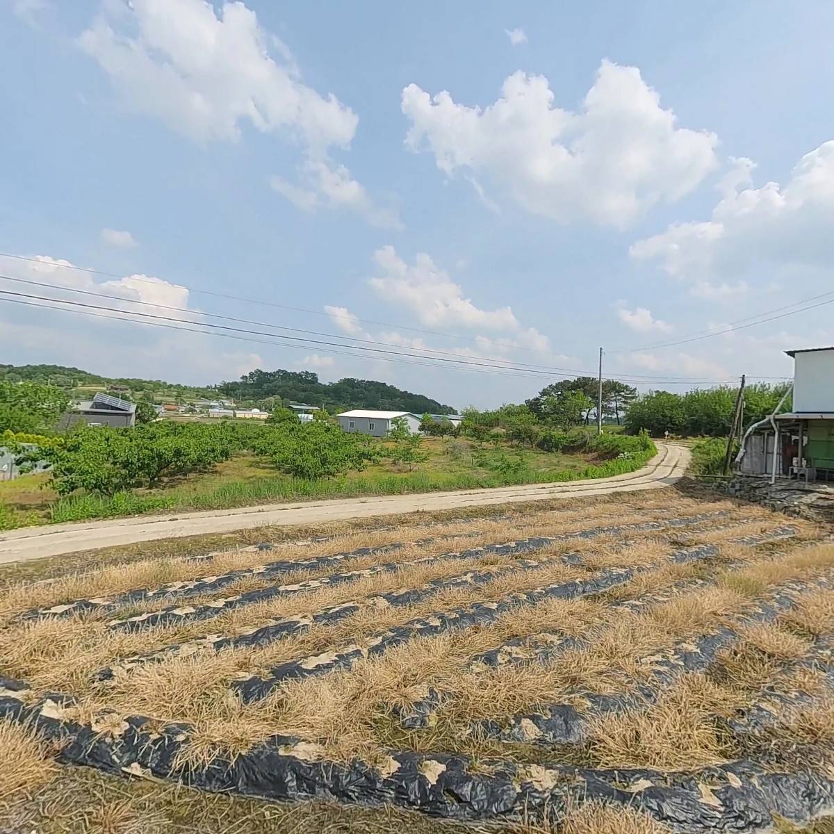 선산(일선)김씨 백암파 단밀 종친회