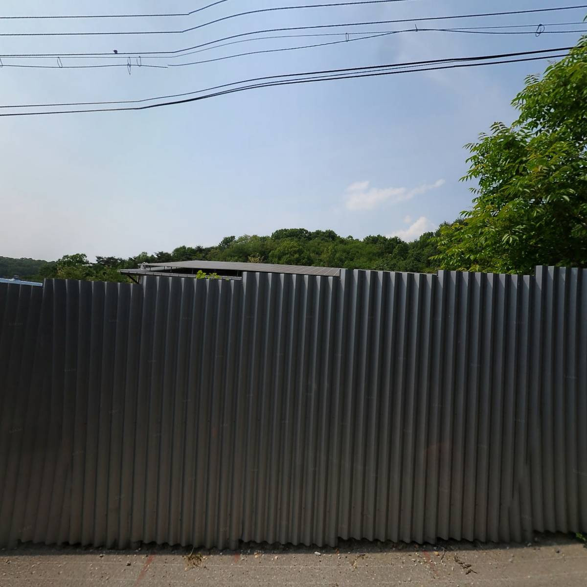 주식회사 청보_3