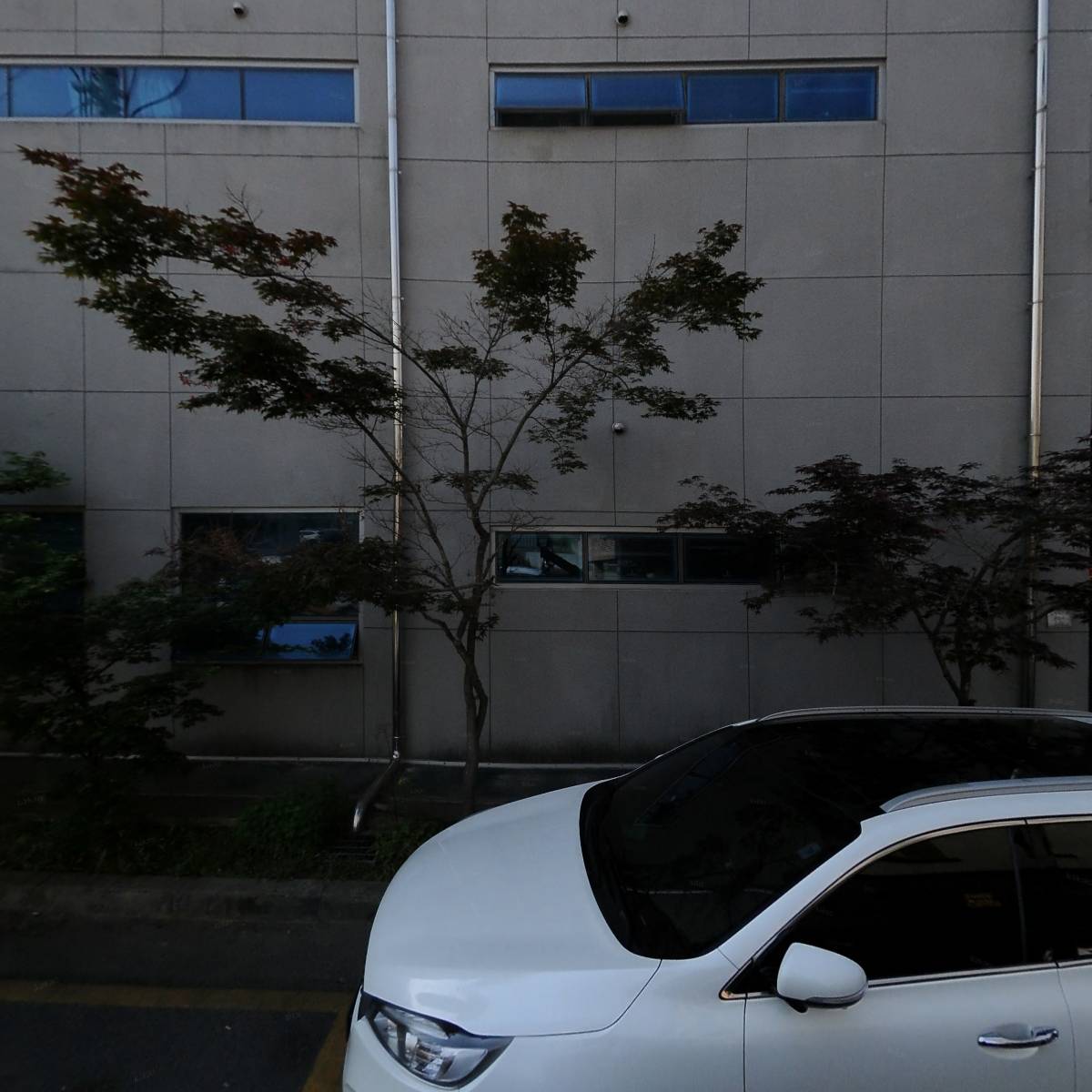 （사）대한노인회 영천시지회_3