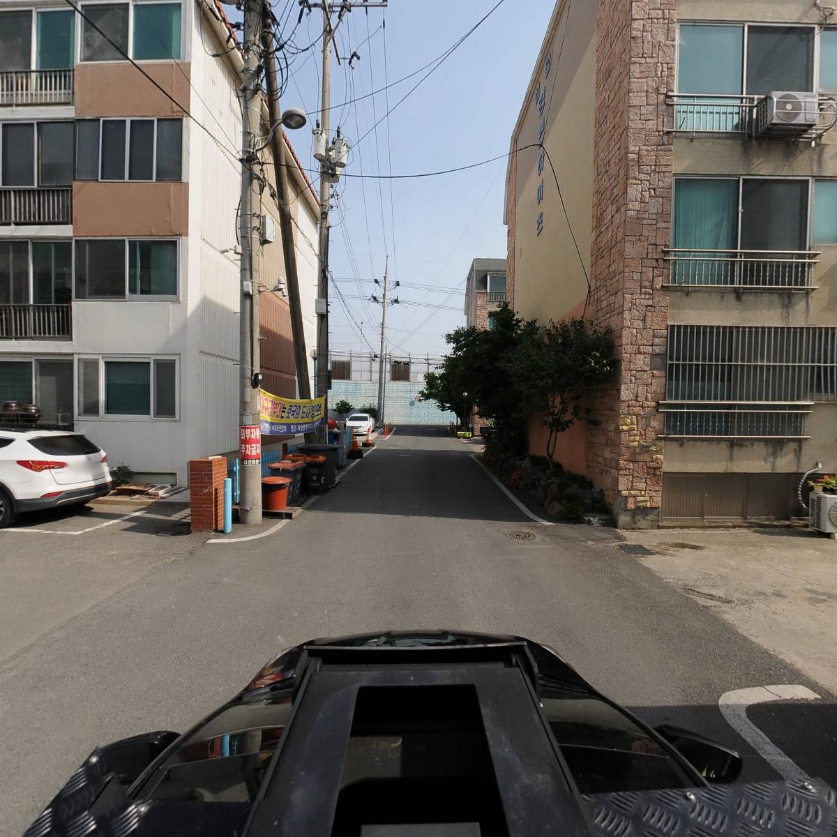 영천시파크골프협회_4