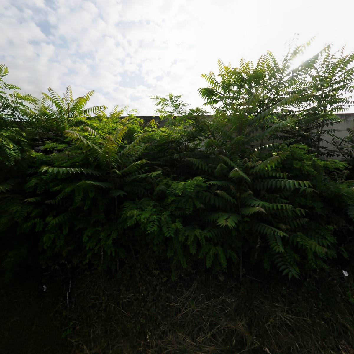 두레박_3