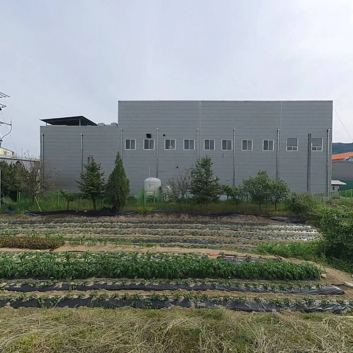 풍기인삼협동조합（풍기인삼농협）_3